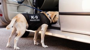Pennsylvania top court decides on warrantless vehicle searches