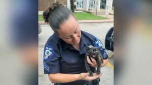 Spring Branch ISD police officers save trapped kitten