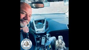 Aurora police officer rescues injured bird hit by car