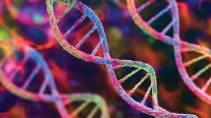 Closing cases with genetic genealogy
