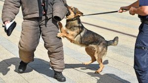 The police reform goal: use of force without options