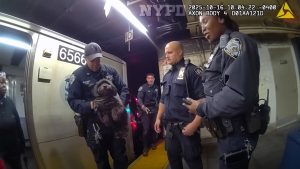 Ruff ride ends with NYPD rescue