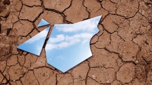 Therapy isn’t just for the broken