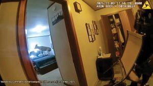 An unexpected burglar