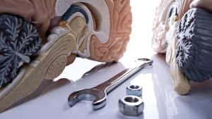 Nervous system regulation