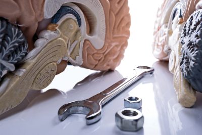 Nervous system regulation