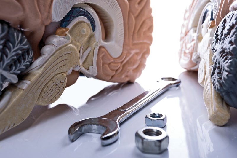 Nervous system regulation