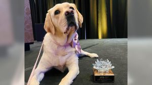 K-9 officer turns children’s book author