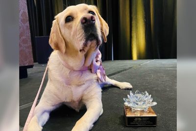K-9 officer turns children’s book author
