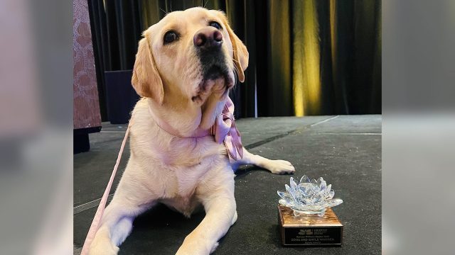 K-9 officer turns children’s book author