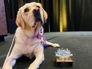 K-9 officer turns children’s book author