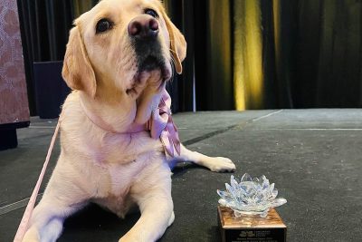 K-9 officer turns children’s book author