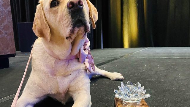 K-9 officer turns children’s book author